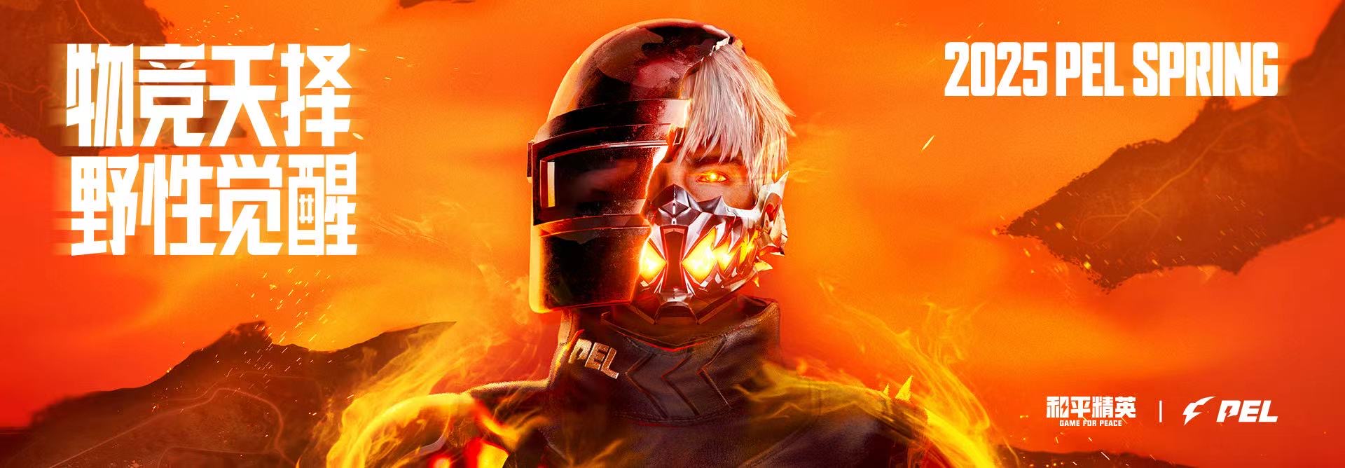 和平精英迪达拉Pro辅助